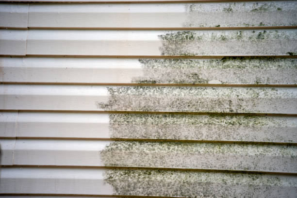 Best Furniture Removal  in Ormond Beach, FL